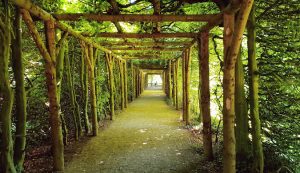 Gütersloh Medyum Hoca